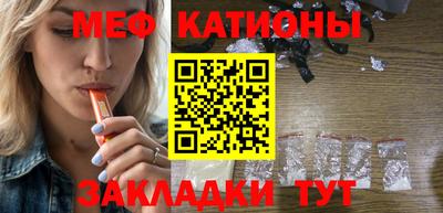 индика Камышлов