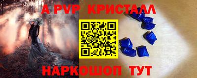 индика Камышлов