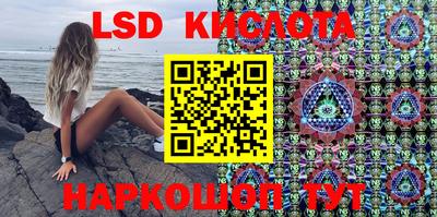 индика Камышлов