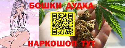 индика Камышлов