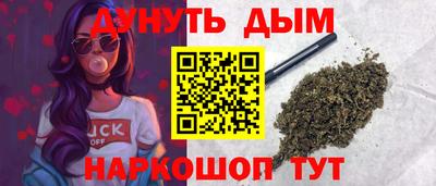 индика Камышлов