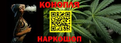 индика Камышлов