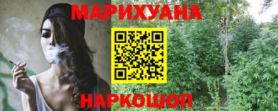 индика Камышлов