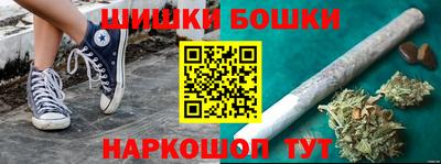 индика Камышлов