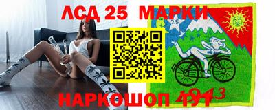 амф Кандалакша