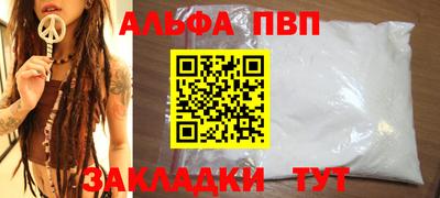 индика Камышлов
