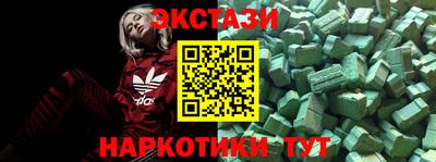 индика Камышлов