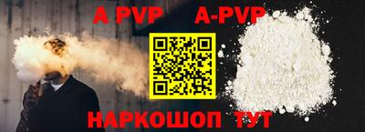 индика Камышлов