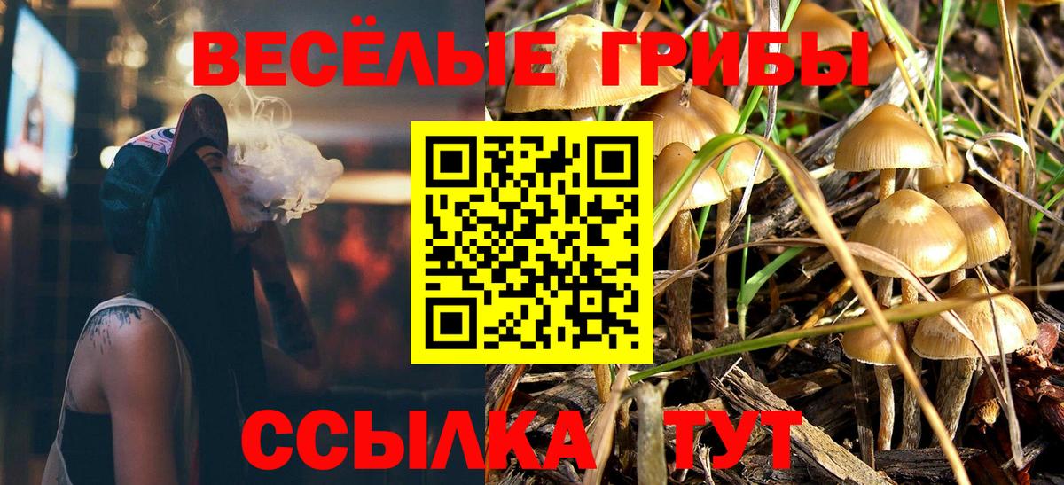 Псилоцибиновые грибы Psilocybine cubensis Скопин