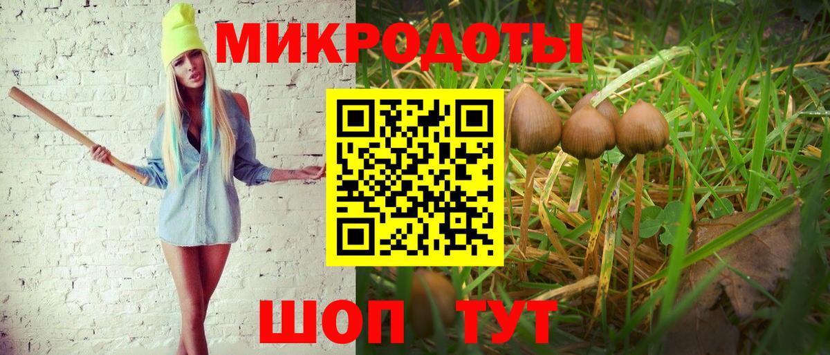 Галлюциногенные грибы мухоморы  магазин продажи   Скопин  Псилоцибиновые грибы ЛСД  Вход с VPN 
